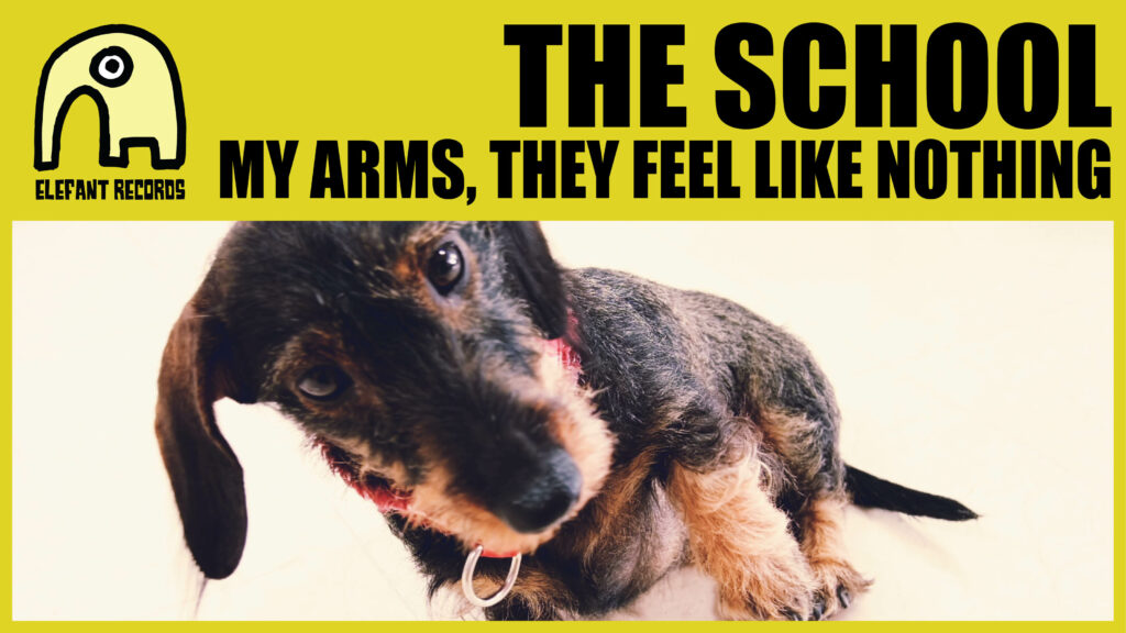 Imagen destacada de video: My Arms, They Feel Like Nothing [Video-Clip]